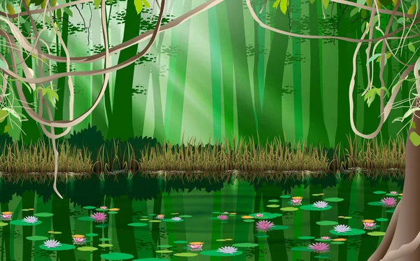 Lotus Swamp Jungle — Stock Vector