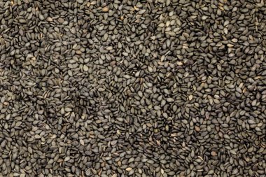 Beyaz arka plan üzerinde tohumlar esrar (kenevir)