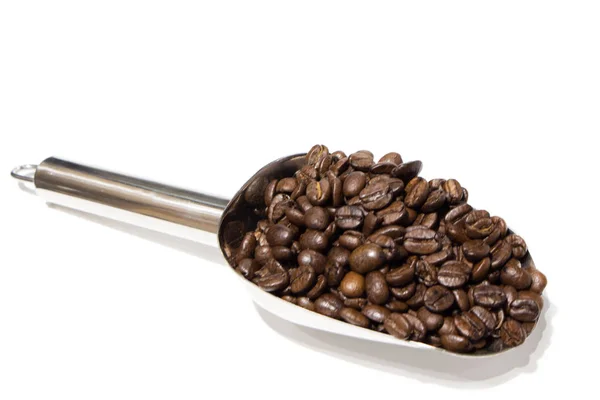 Kaffeebohnen Auf Einem Spachtel — Stockfoto