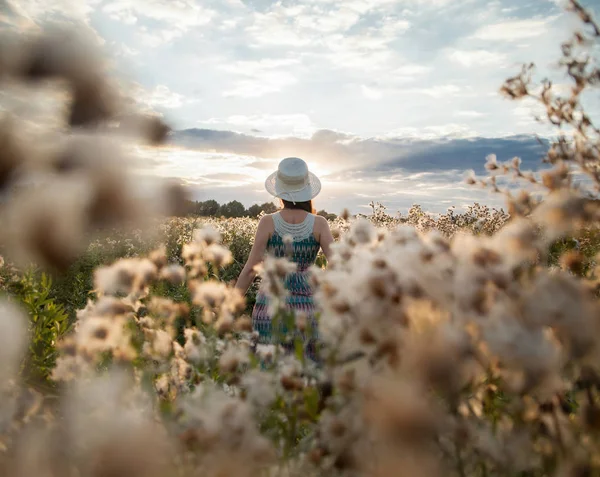 Chica en el campo de verano — Foto de Stock