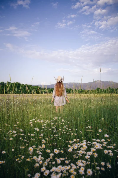 Chica en el campo de verano — Foto de Stock