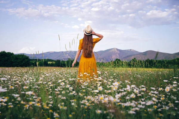 Chica en el campo de verano Imágenes De Stock Sin Royalties Gratis