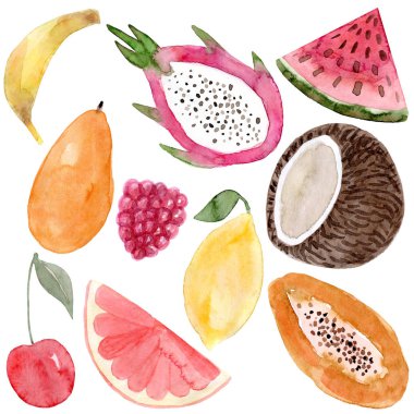 Suluboya pitaya, muz, Hindistan cevizi, karpuz, papaya, limon, Mango, ahududu, kiraz, greyfurt. El çizilmiş çizim.