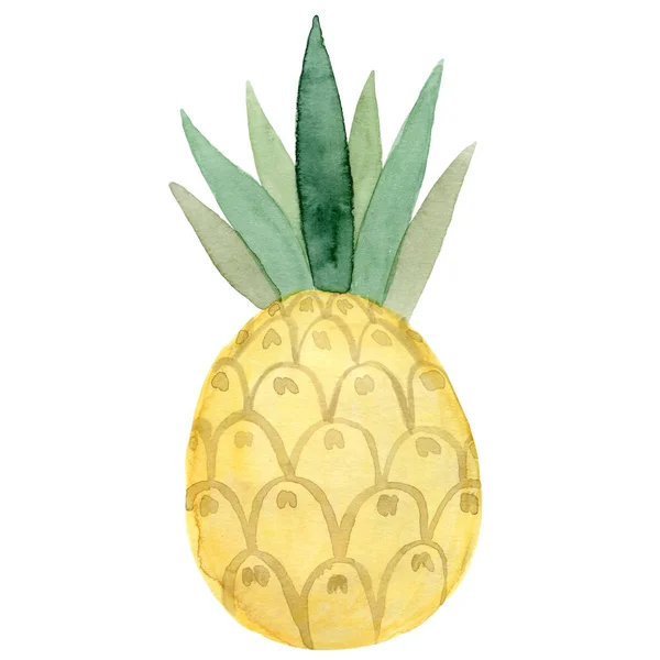 Aquarelle ananas fruits. Illustration d'été dessinée à la main. Conception pour tissu, emballage, textile, couverture, carte postale, papier, papeterie, scrapbooking, emballage, vêtements, autocollants, cartes, affiches, logo — Photo