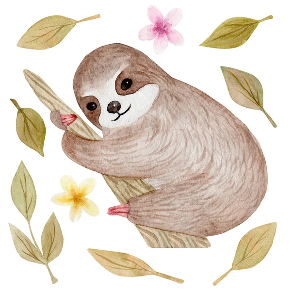 Palmiye ağacında suluboya sevimli tembellik. Tropikal hayvan. Clipart beyaz arka planda izole. El boyalı illüstrasyon: kreş tasarımı, poster, tebrik, Doğum günü kartı, bebek duş, parti. Tembel bebek