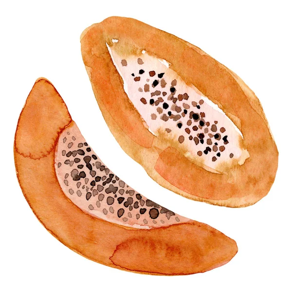 Akvarell papaya frukt. Handritad sommar illustration. Design för tyg, förpackning, textil, omslag, vykort, papper, pappersvaror, scrapbooking, omslag, kläder, klistermärken, kort, affischer, logotyp — Stockfoto