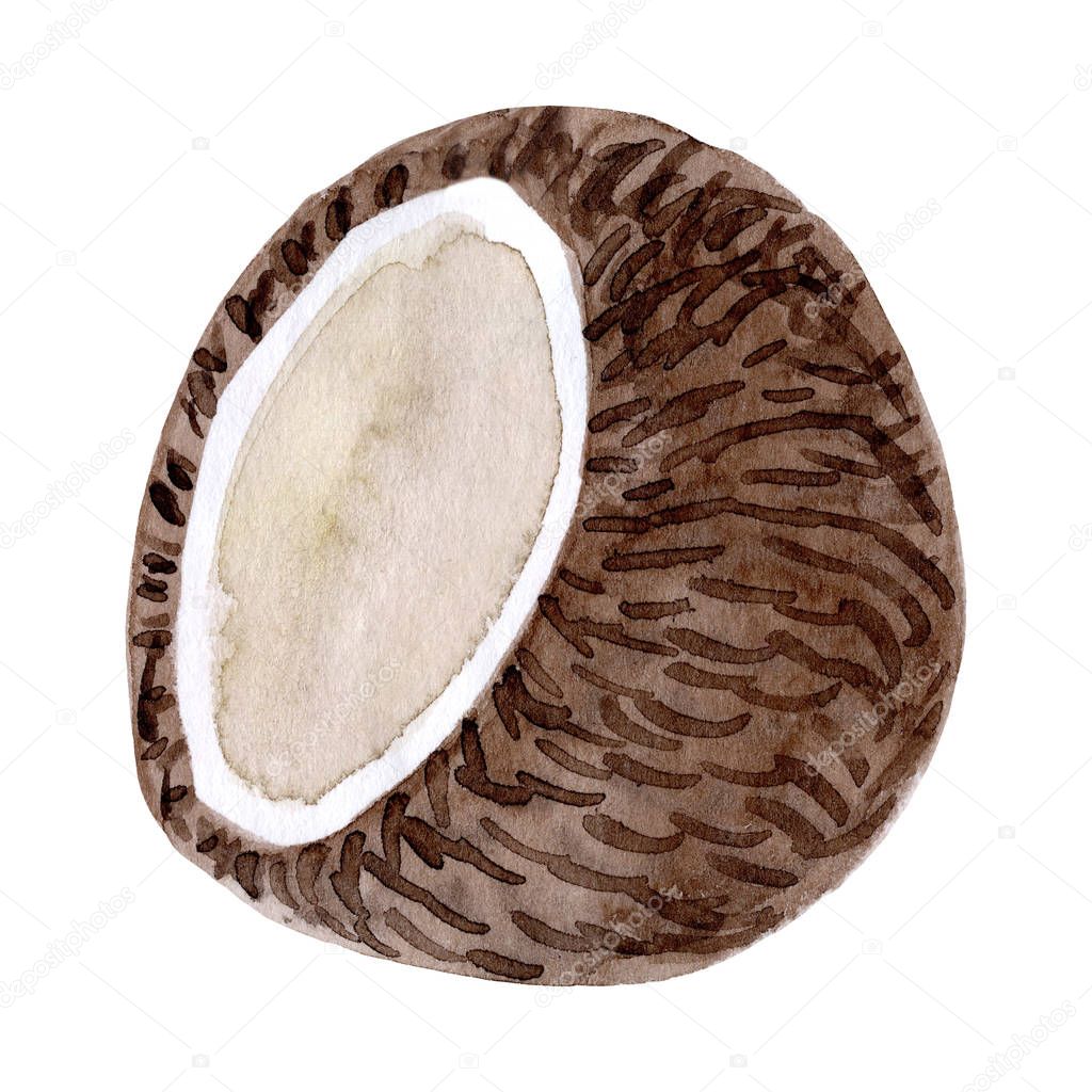 Watercolor coconut fruit. Hand drawn summer illustration. Design for fabric, packaging, textile, cover, postcard, paper, stationery, scrapbooking, wrapping, clothes, stickers, cards, posters, logo