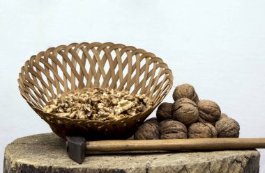 Çalılar ortak ceviz (Juglans regia) verim.