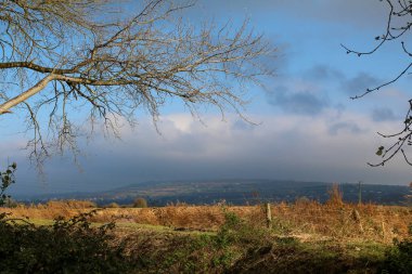 İrlanda - Dublin'den Wild Atlantic Way'e