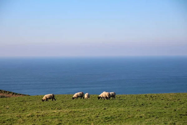 Irlandia-z Dublina do Wild Atlantic Way — Zdjęcie stockowe