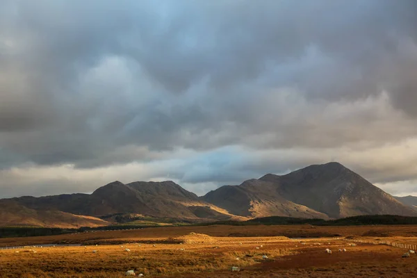 Ierland-van Dublin naar wild Atlantic Way — Stockfoto