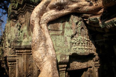 Kamboçya'da ünlü Angkor Wat
