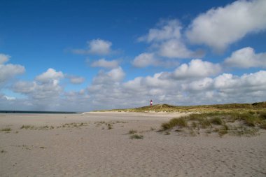 Sylt-Almanya 'nın en güzel Adası