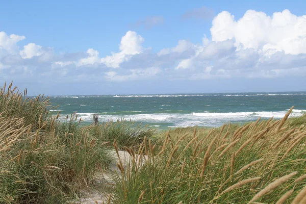 Sylt-het mooiste eiland van Duitsland — Stockfoto