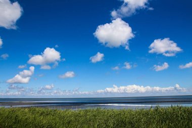 Sylt-Almanya 'nın en güzel Adası