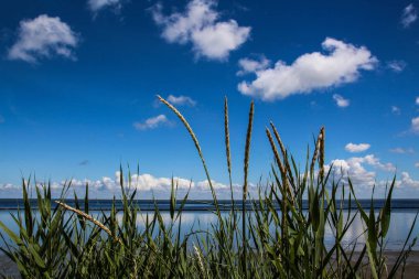 Sylt-Almanya 'nın en güzel Adası