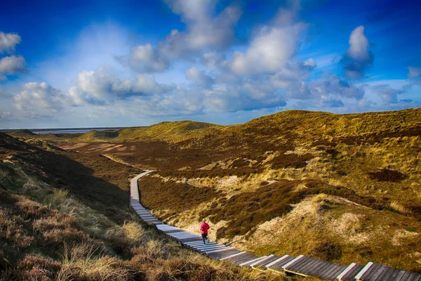 Sylt - La plus belle île d'Allemagne — Photo