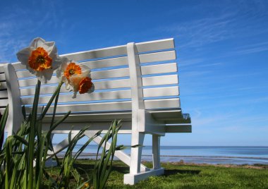 Sylt-Almanya 'nın en güzel Adası