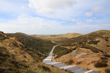 Sylt-Almanya 'nın en güzel Adası