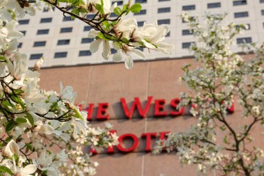 Leipzig olmak için güzel bir yer