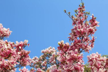 Leipzig olmak için güzel bir yer