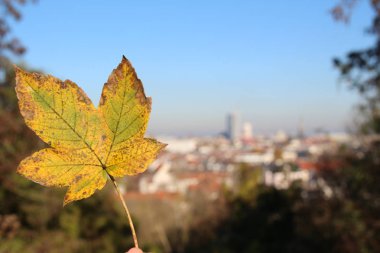 Leipzig olmak için güzel bir yer