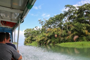 Tortuguero, Kosta Rika'daki tropikal yağmur ormanlarının manzarası
