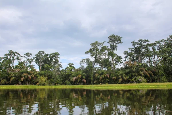 Paisaje de la selva tropical en Tortuguero, Costa Rica — Foto de Stock