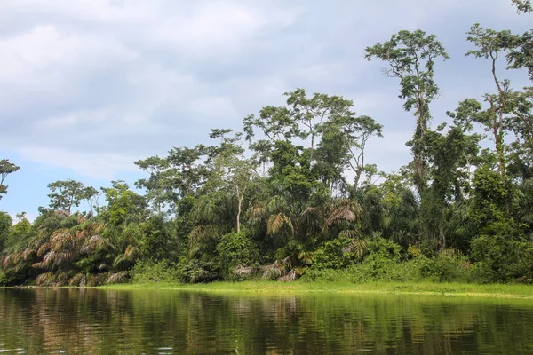 Paisaje de la selva tropical en Tortuguero, Costa Rica — Foto de Stock