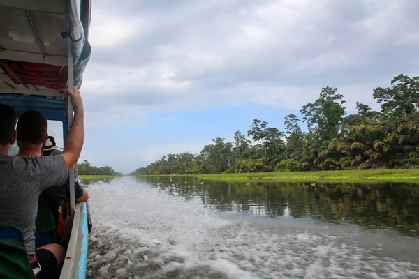 Tortuguero, Kosta Rika'daki tropikal yağmur ormanlarının manzarası