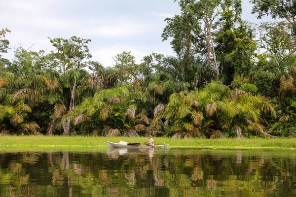 Tortuguero, Kosta Rika'daki tropikal yağmur ormanlarının manzarası