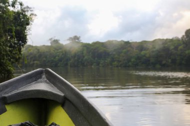 Tortuguero, Kosta Rika'daki tropikal yağmur ormanlarının manzarası