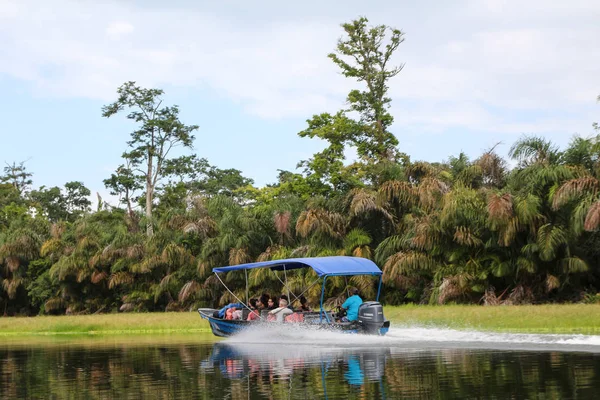 Tortuguero, Kosta Rika'daki tropikal yağmur ormanlarının manzarası