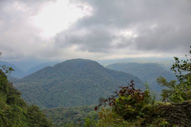 Pura Vida - Bu güzel Kosta Rika olduğunu