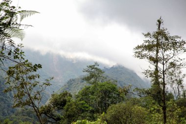 Pura Vida - Bu güzel Kosta Rika olduğunu