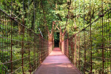 Pura Vida - Bu güzel Kosta Rika olduğunu