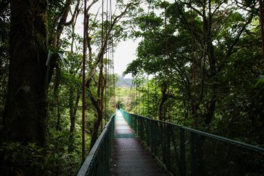 Pura Vida - Bu güzel Kosta Rika olduğunu