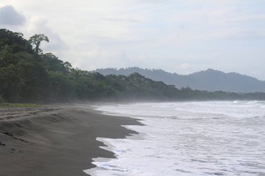 Pura Vida - Bu güzel Kosta Rika olduğunu