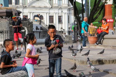 Pura Vida - Bu güzel Kosta Rika olduğunu