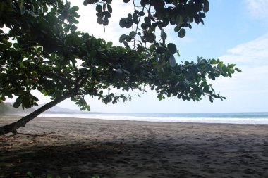 Pura Vida - Bu güzel Kosta Rika olduğunu