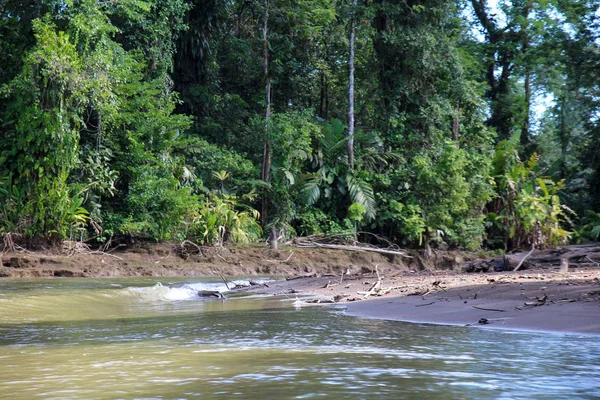 Krajina tropického deštného lesa Tortuguero, Kostarika — Stock fotografie