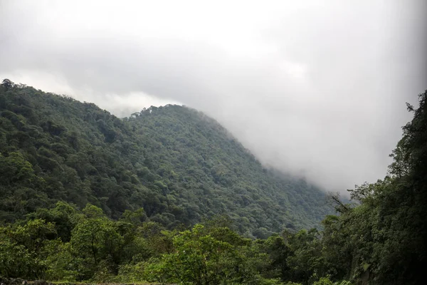 Pura Vida-to jest piękne Kostaryka — Zdjęcie stockowe