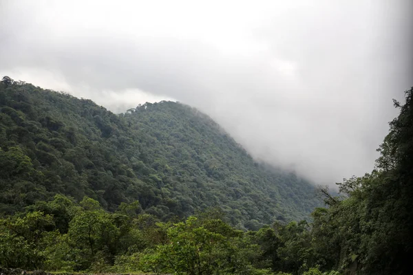 Pura Vida - Esta é bela Costa Rica — Fotografia de Stock