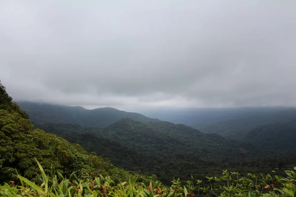 Pura Vida-dit is prachtig Costa Rica — Stockfoto