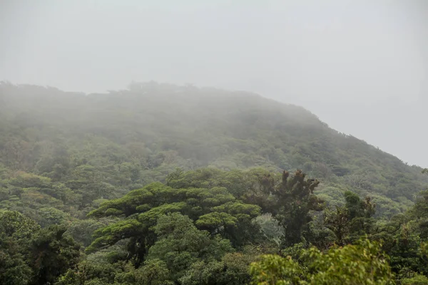 Pura Vida-detta är vackra Costa Rica — Stockfoto