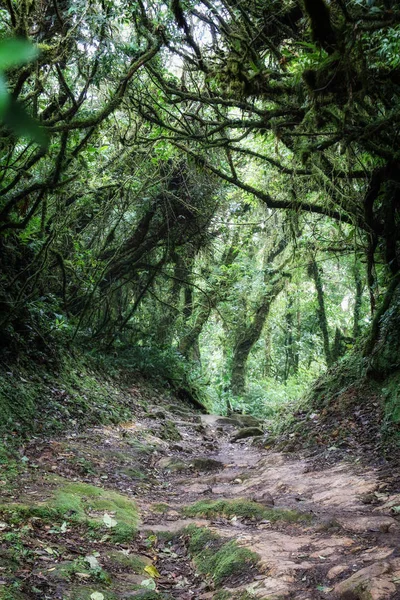 Pura Vida - C'est beau Costa Rica — Photo