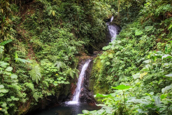 Пура-Vida-це гарний Коста-Ріка — стокове фото