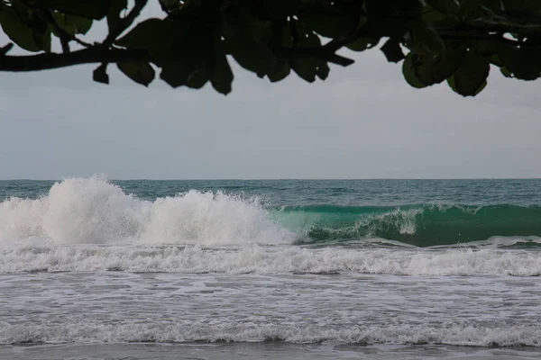 Pura Vida - Esta es la hermosa Costa Rica — Foto de Stock