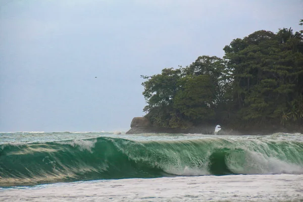 Pura Vida - Esta es la hermosa Costa Rica — Foto de Stock