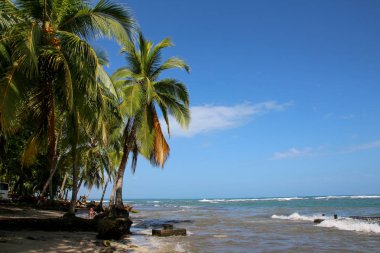 Pura Vida - Bu güzel Kosta Rika olduğunu